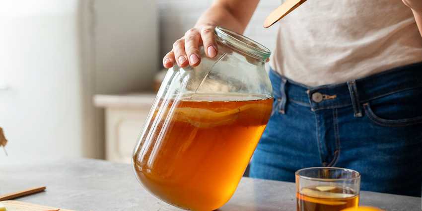 ¿Por que la kombucha es probiotica?